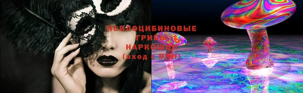 прущие грибы Алексин