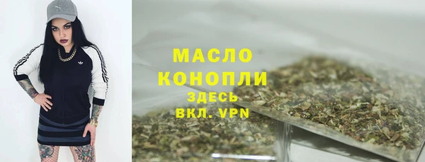 дмт Абаза